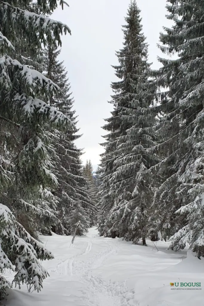 Zagórnik i okolice - Atrakcje - Agroturystyka U Bogusi