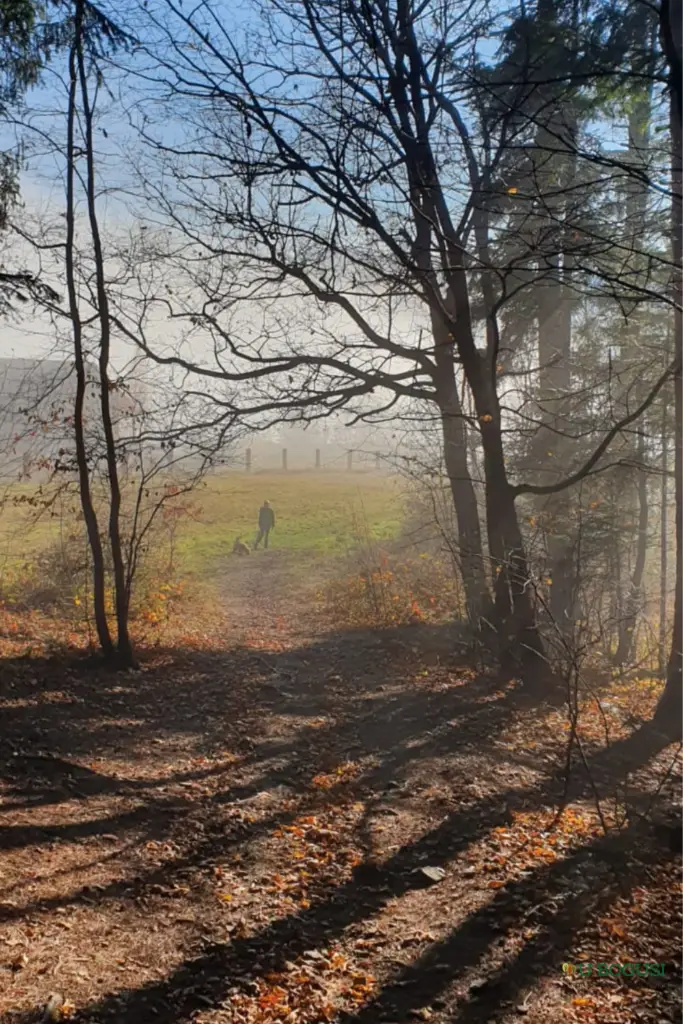 Zagórnik i okolice - Atrakcje - Agroturystyka U Bogusi