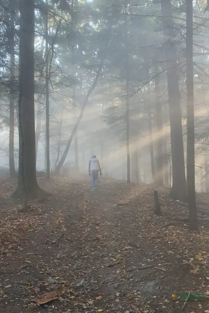 Zagórnik i okolice - Atrakcje - Agroturystyka U Bogusi